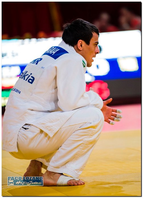 Paris 2014 by P.Lozano cat -66 kg (295)